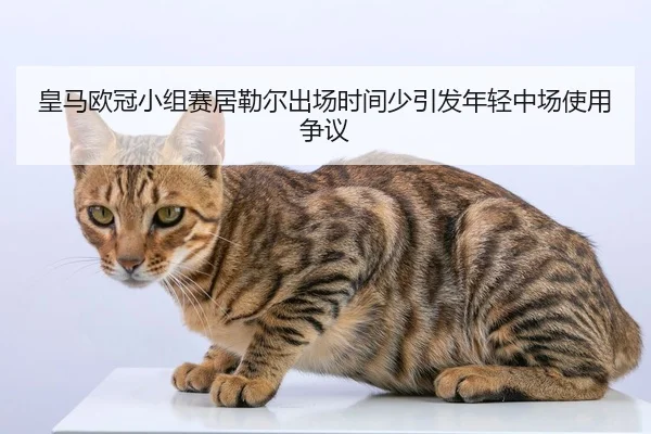 皇马欧冠小组赛居勒尔出场时间少引发年轻中场使用争议