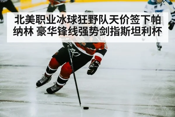 北美职业冰球狂野队天价签下帕纳林 豪华锋线强势剑指斯坦利杯